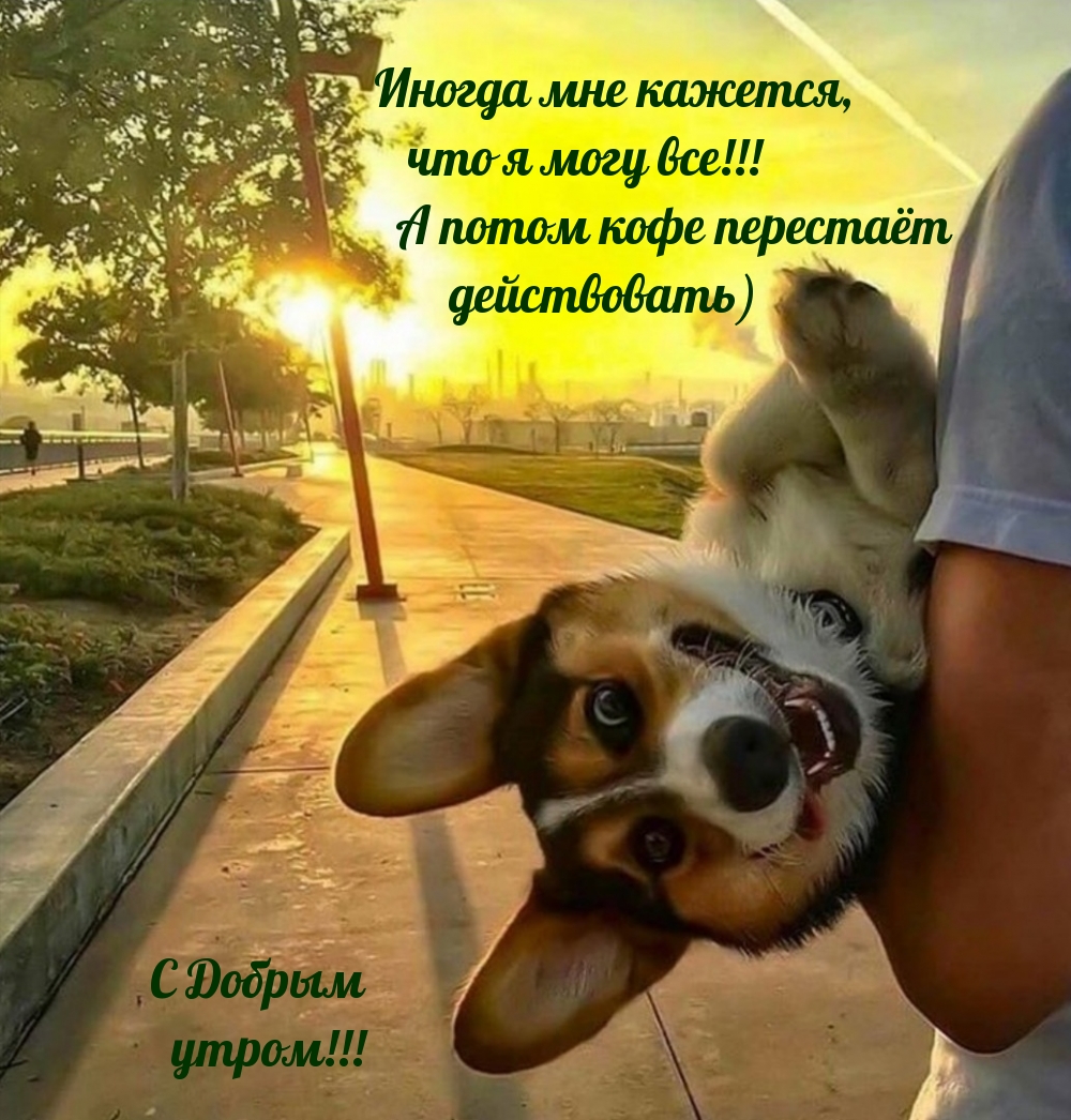 Иногда мне кажется, что я могу все! А потом кофе перестаёт действовать)