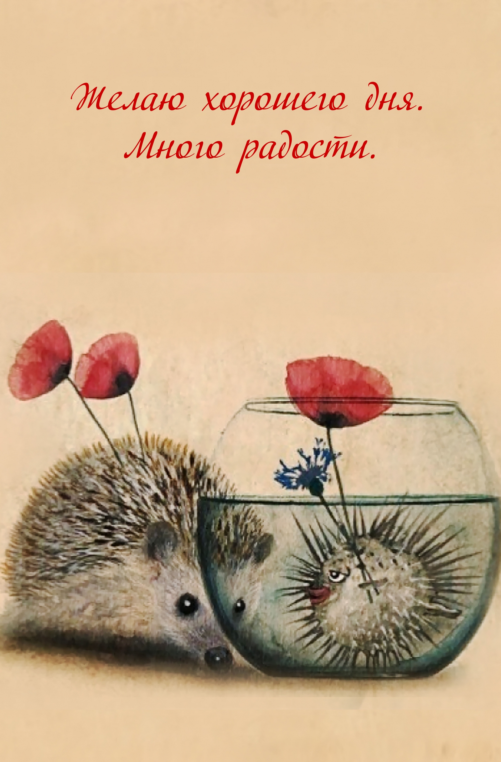 Желаю хорошего дня. Много радости.