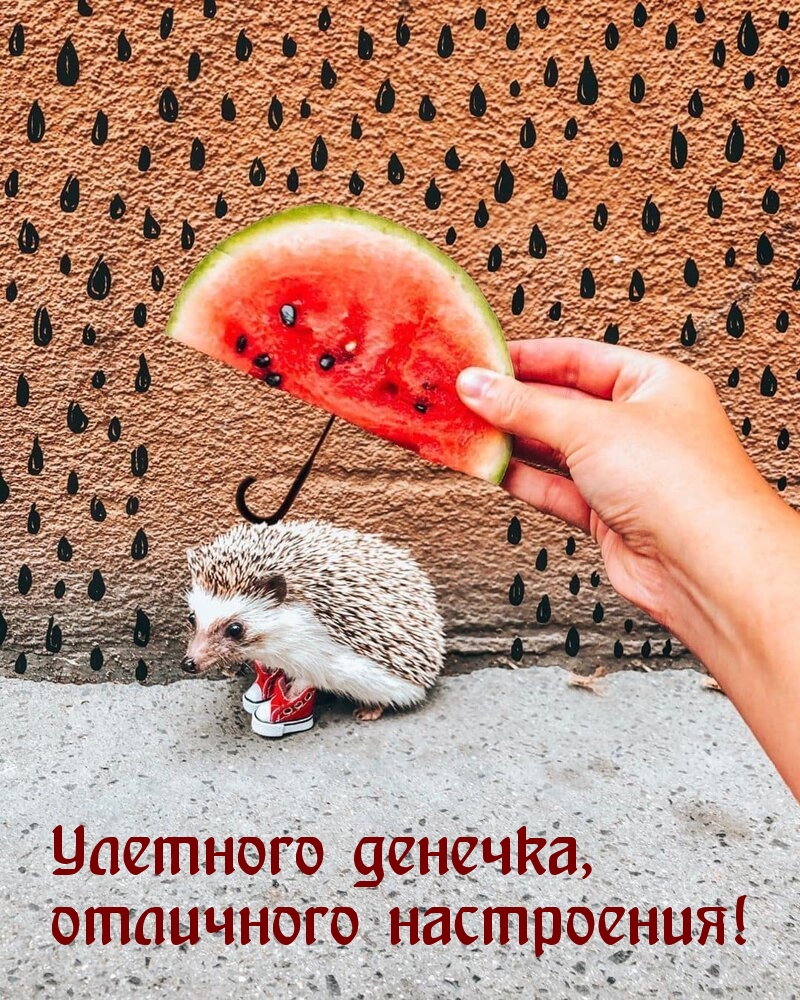 Улетного денечка, отличного настроения!