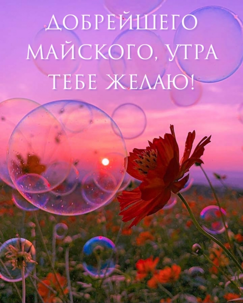 Добрейшего майского, утра тебе желаю!