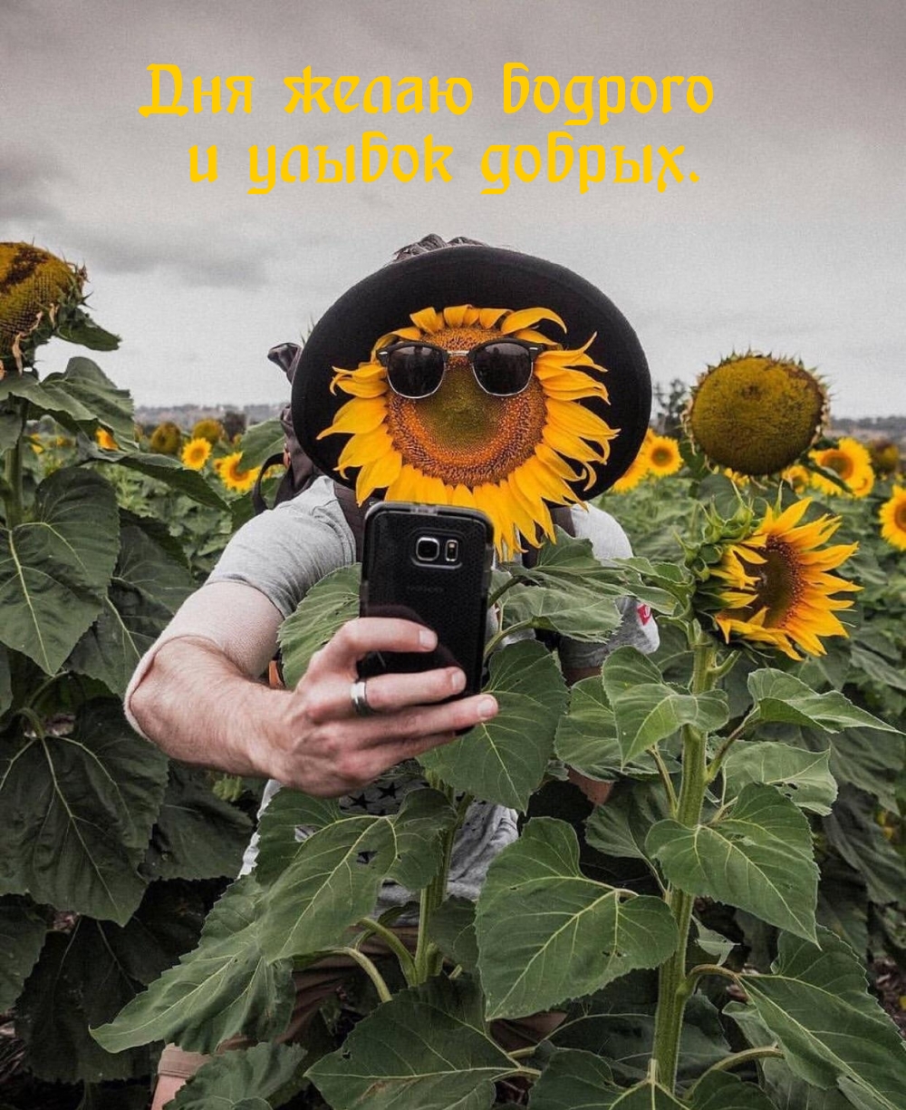 Дня желаю бодрого и улыбок добрых.