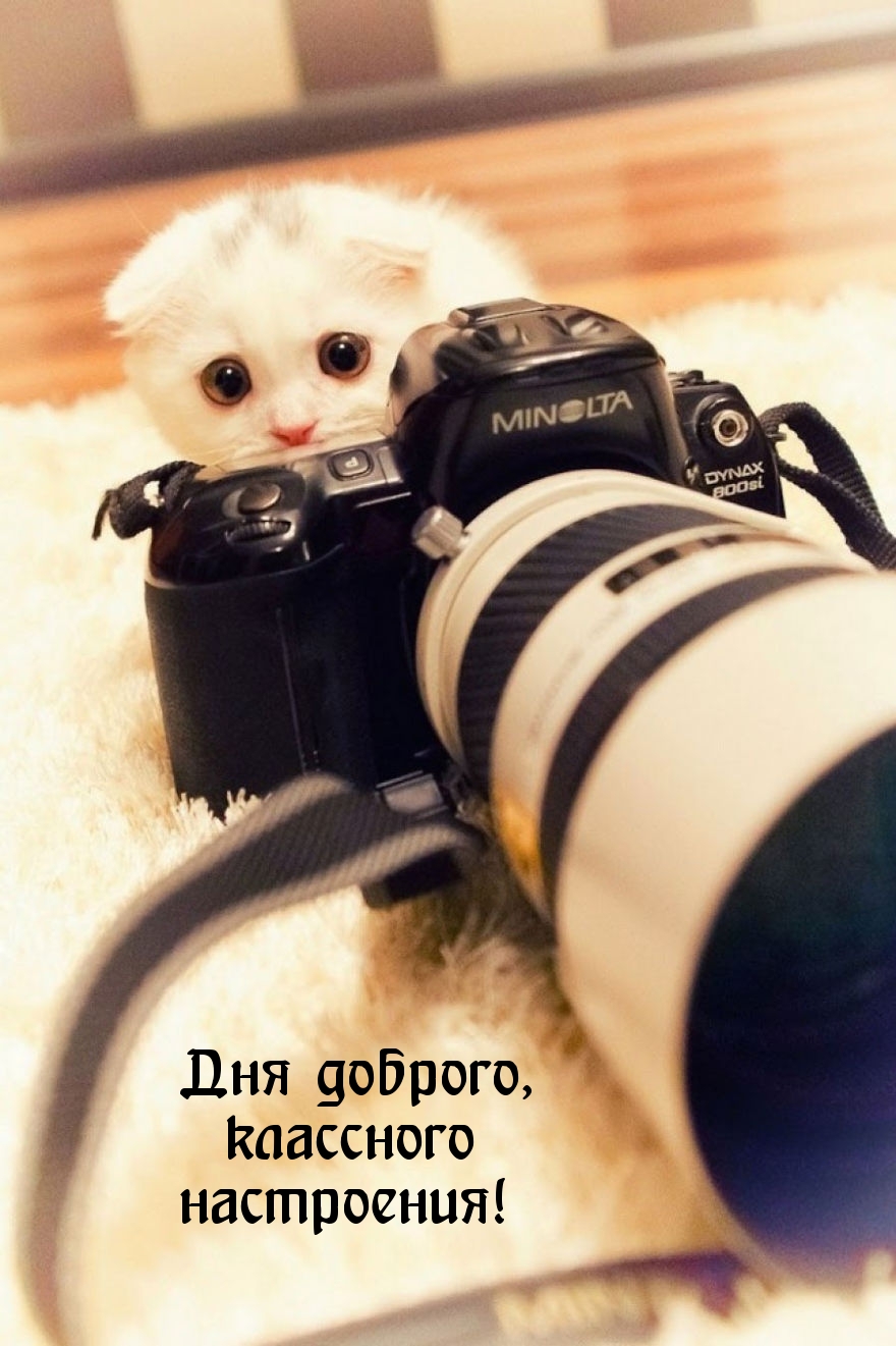 Дня доброго, классного настроения!