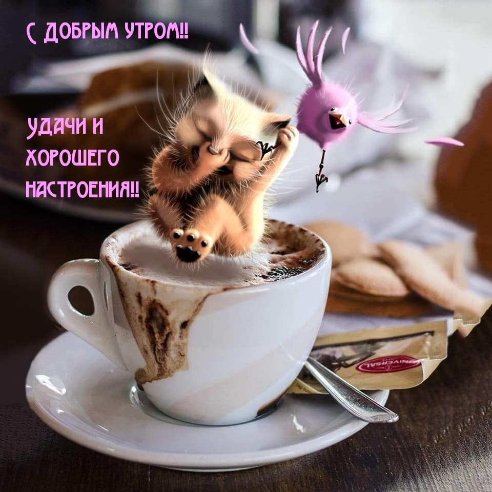 С Добрым утром! Удачи и хорошего настроения!