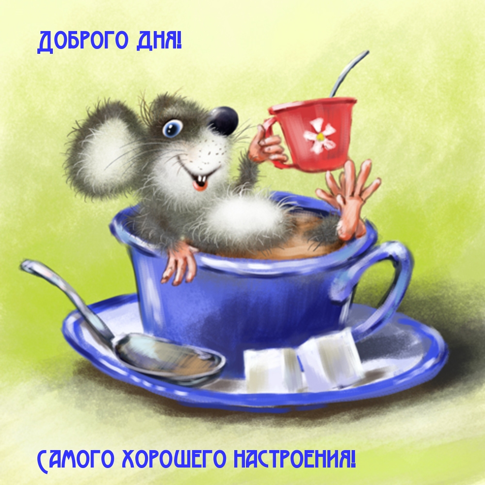Доброго дня! Самого хорошего настроения!