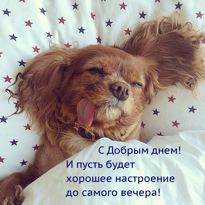 С Добрым днем! И пусть будет хорошее настроение