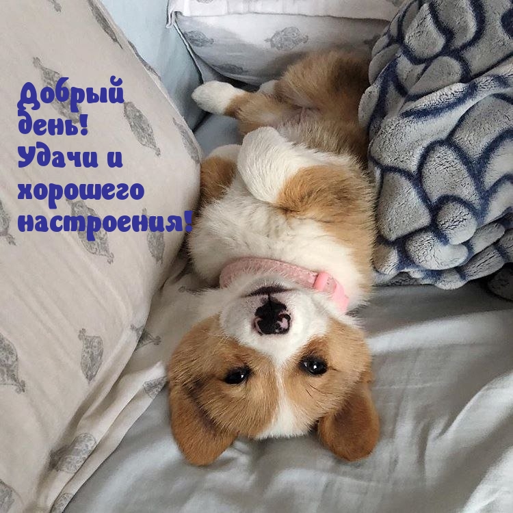 Добрый день! Удачи и хорошего настроения!