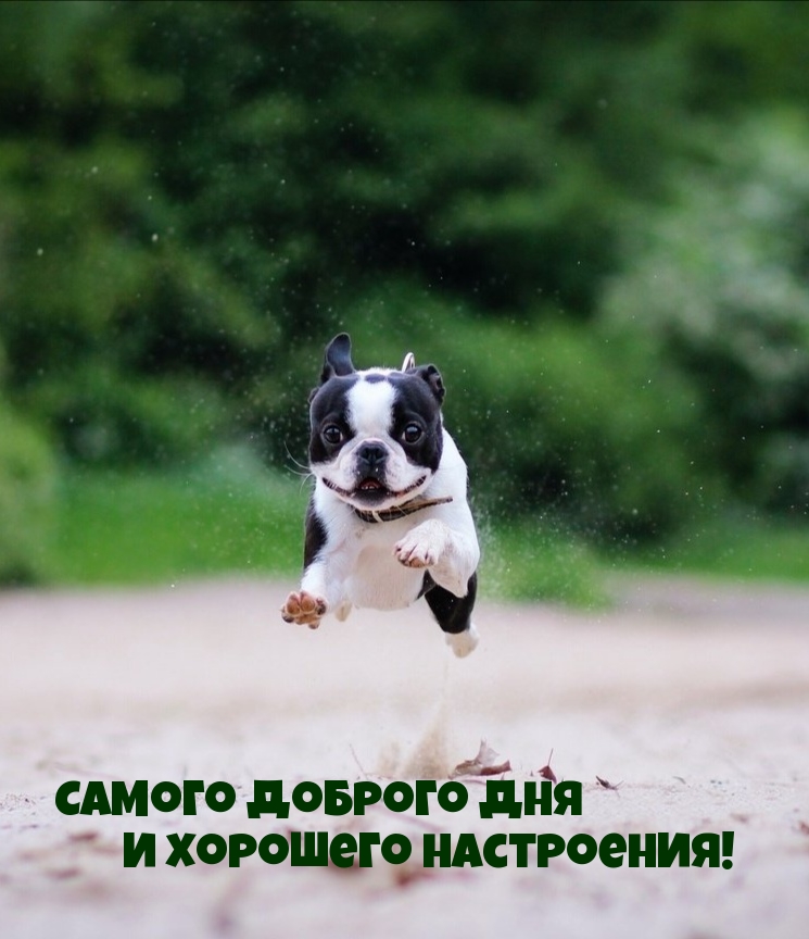 Самого доброго дня и хорошего настроения!