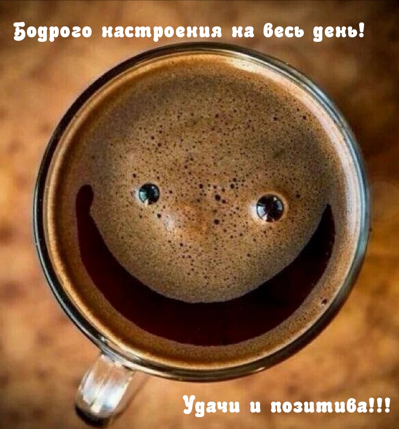 Бодрого настроения на весь день! Удачи и позитива!!!