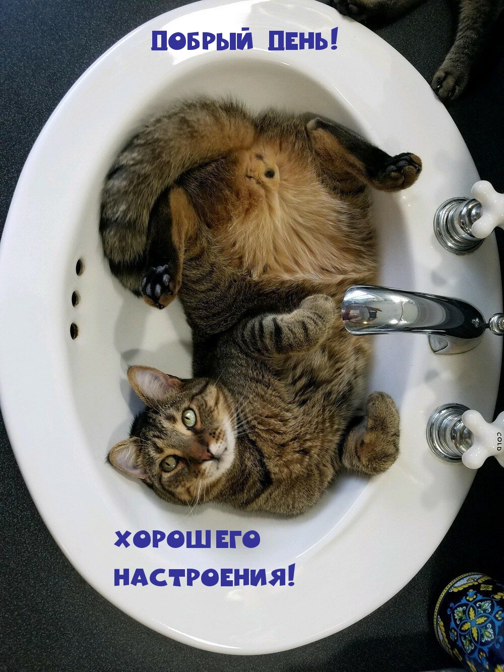 Добрый день! Хорошего настроения!