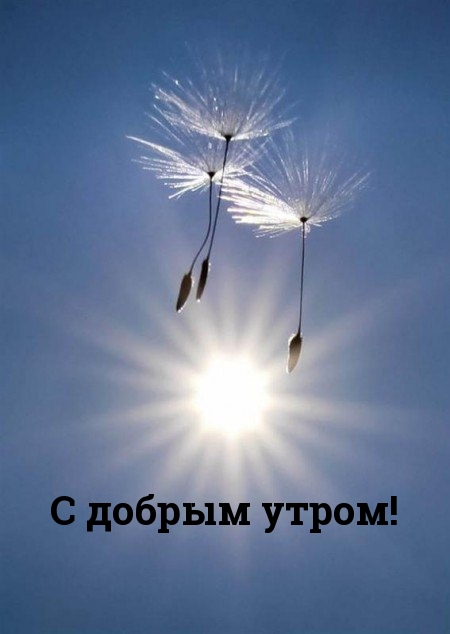 С добрым утром!