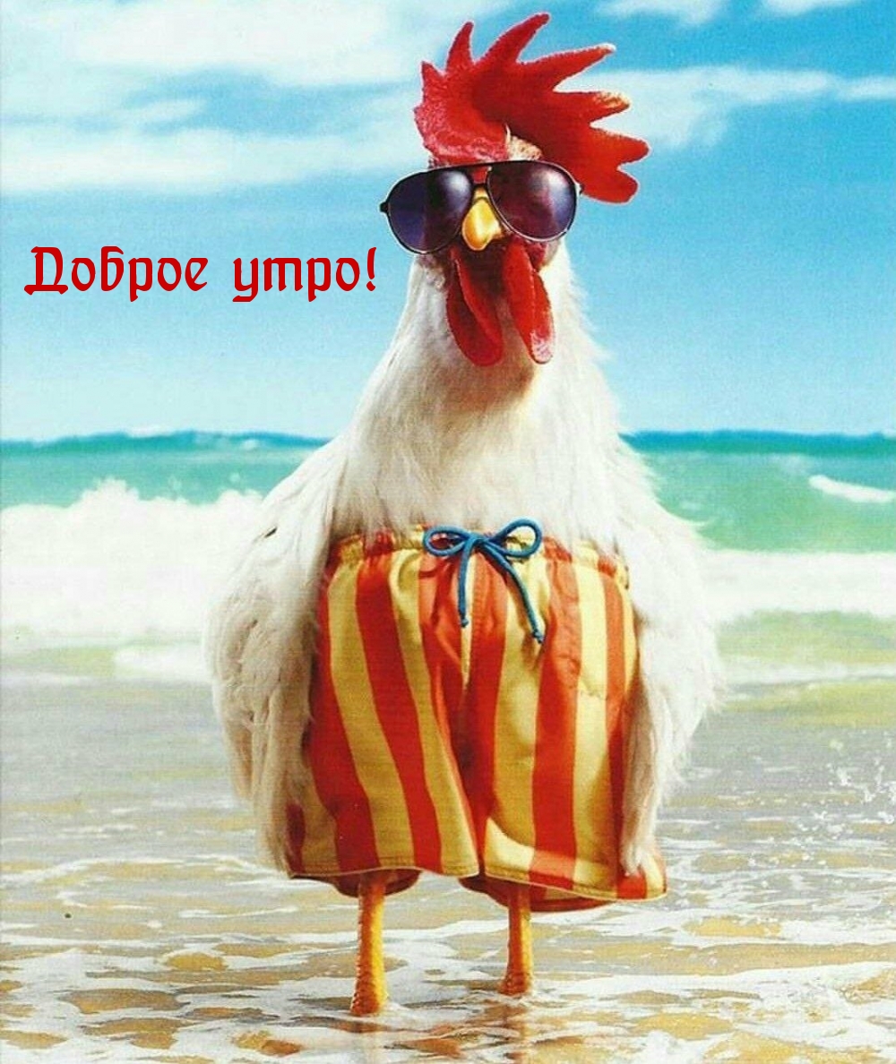 Доброе утро!
