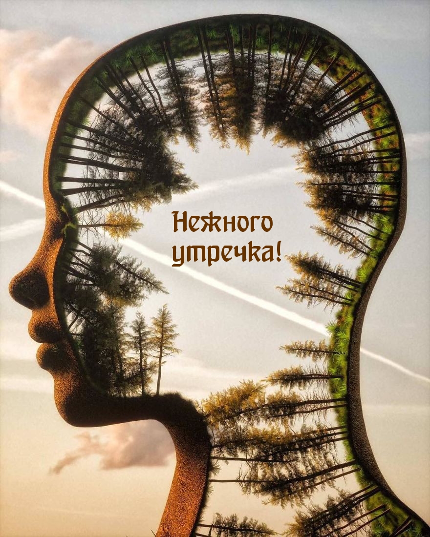 Нежного утречка!