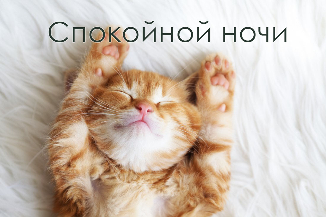 Спокойной ночи