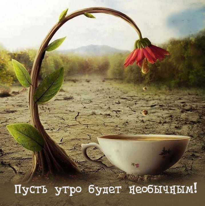 Пусть утро будет необычным!