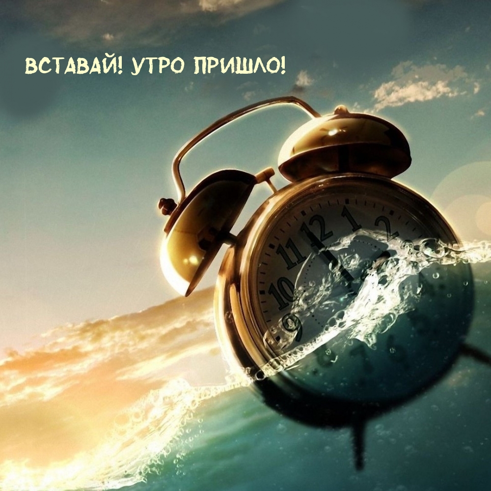 Вставай! Утро пришло!