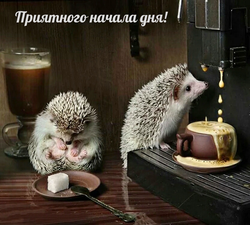 Приятного начала дня!