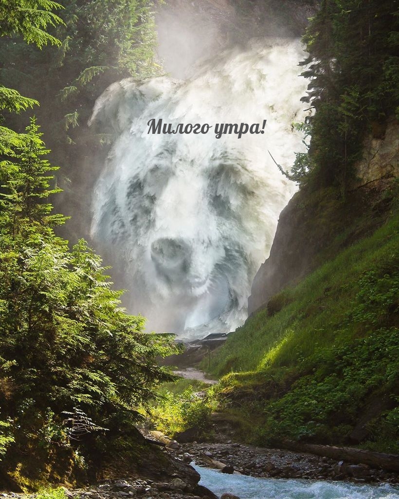 Милого утра!