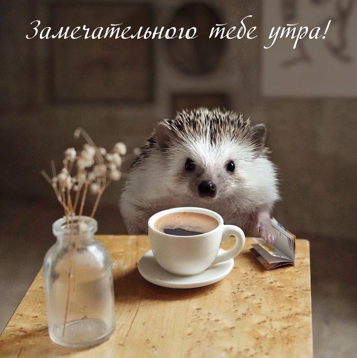 Замечательного тебе утра!
