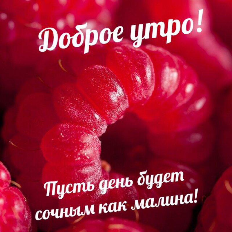 Пусть день будет сочным как малина!