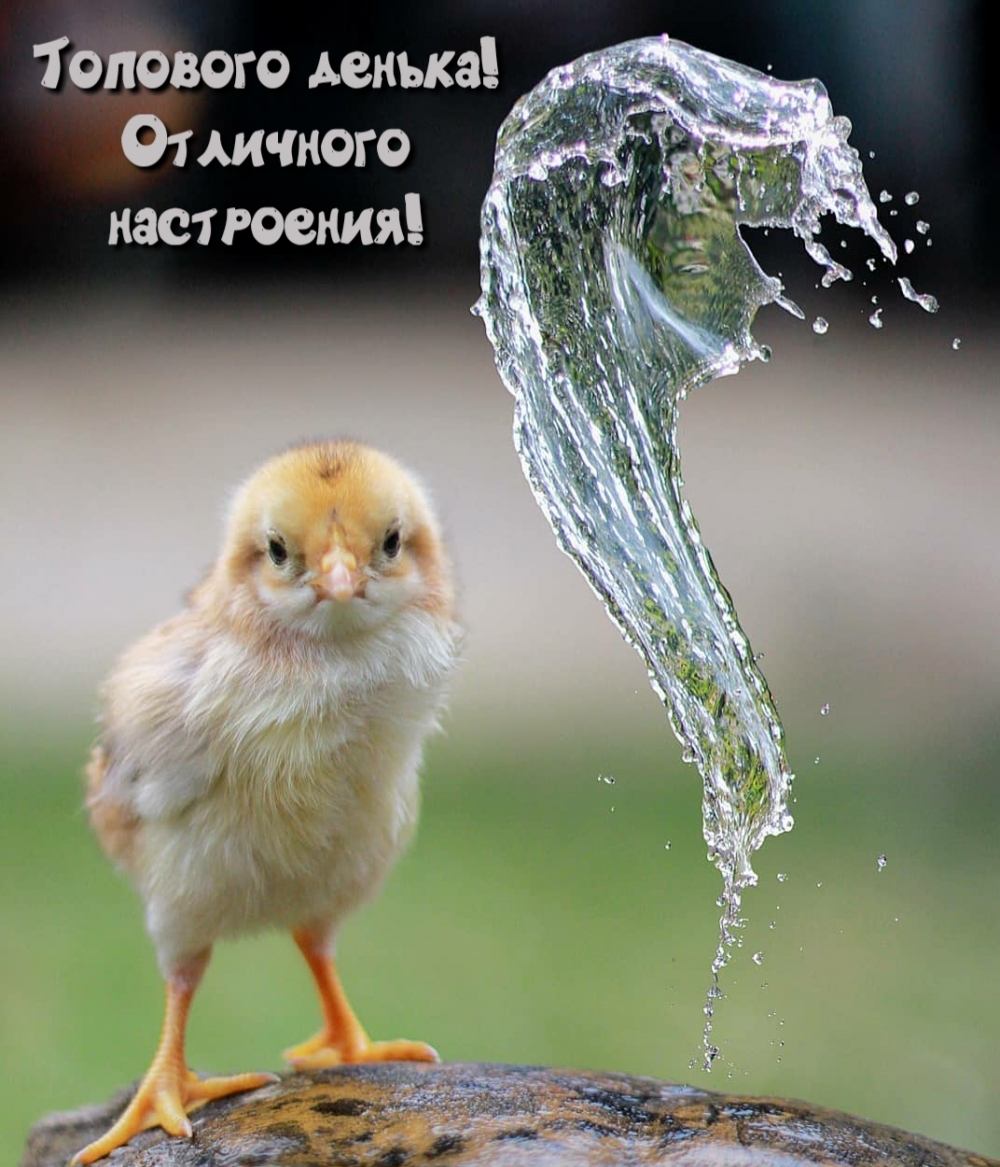 Топового денька! Отличного настроения!