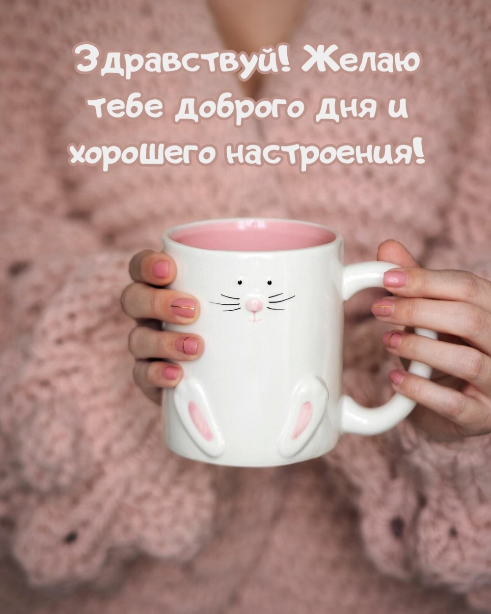 Здравствуй! Желаю тебе доброго дня и хорошего настроения!