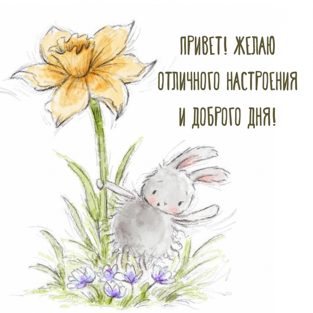 Привет! Желаю отличного настроения и доброго дня!