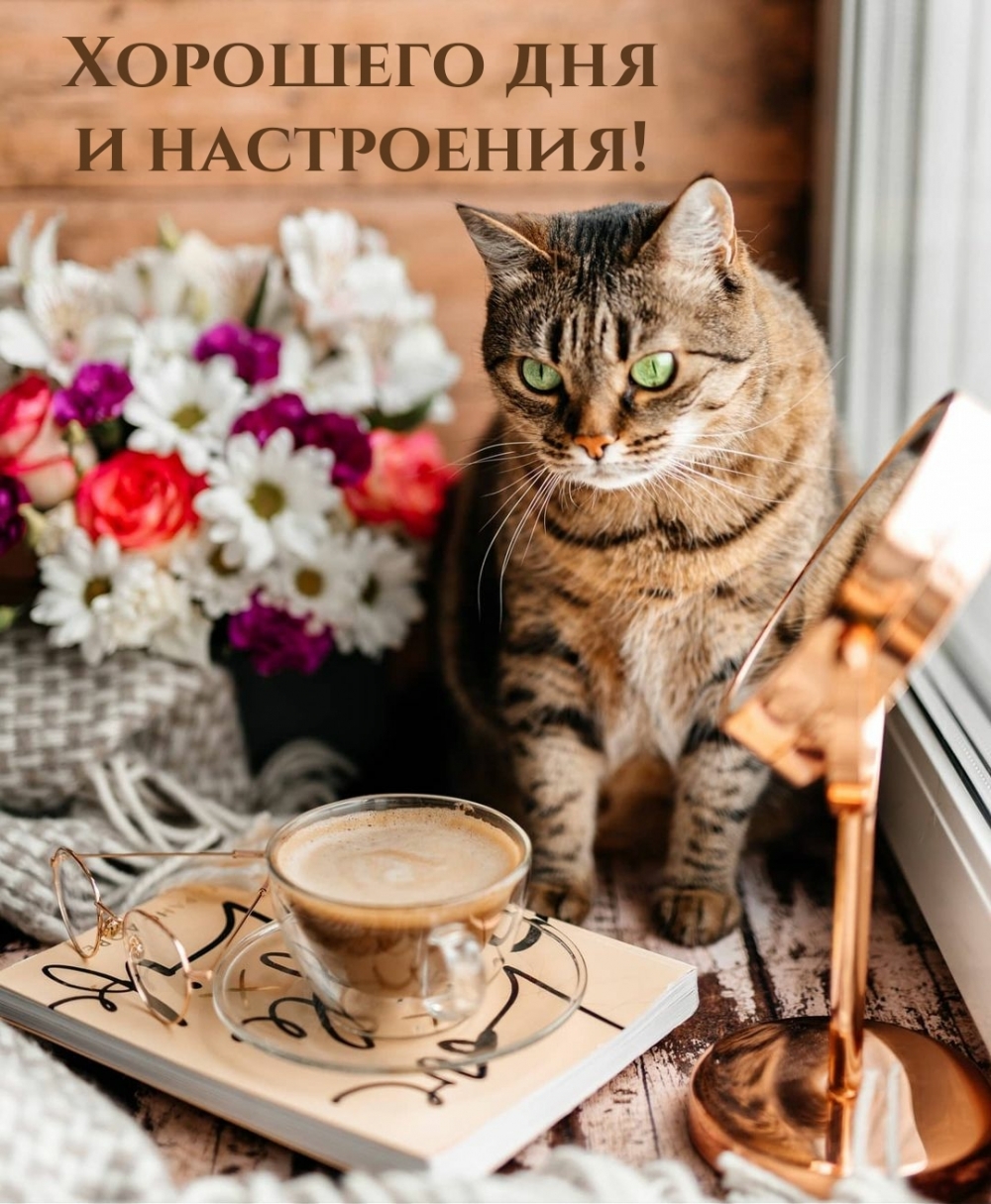 Хорошего дня и настроения!