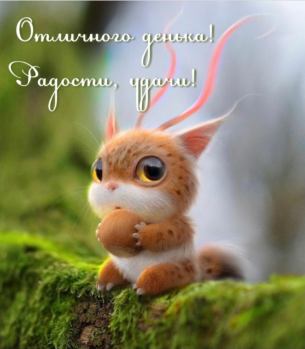 Отличного денька! Радости, удачи!