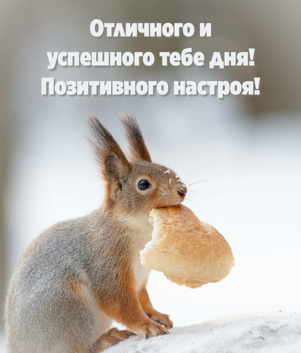 Отличного и успешного тебе дня! Позитивного настроя!