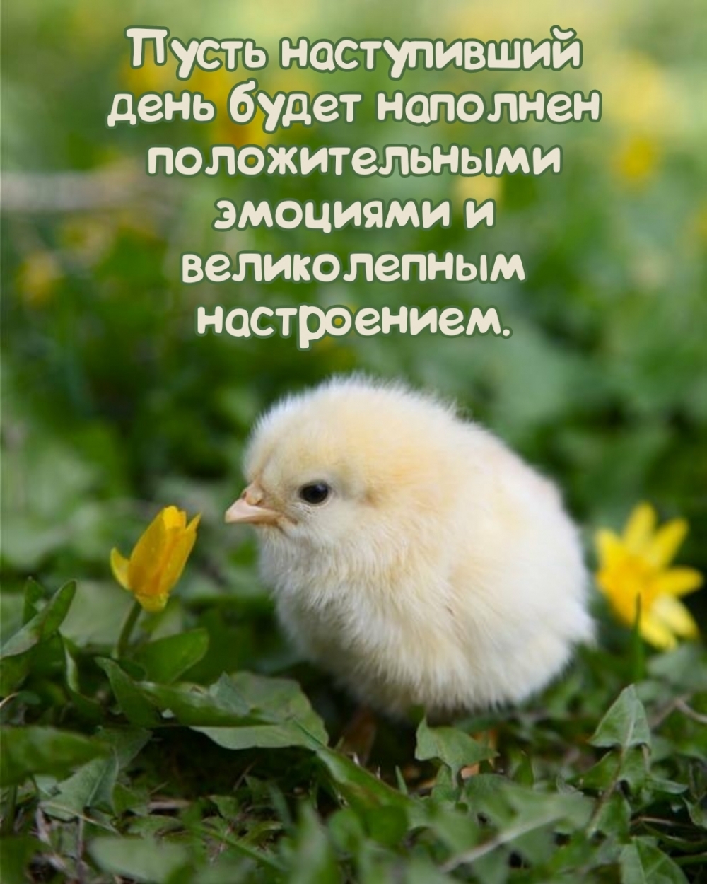 Пусть наступивший день будет наполнен положительными эмоциями