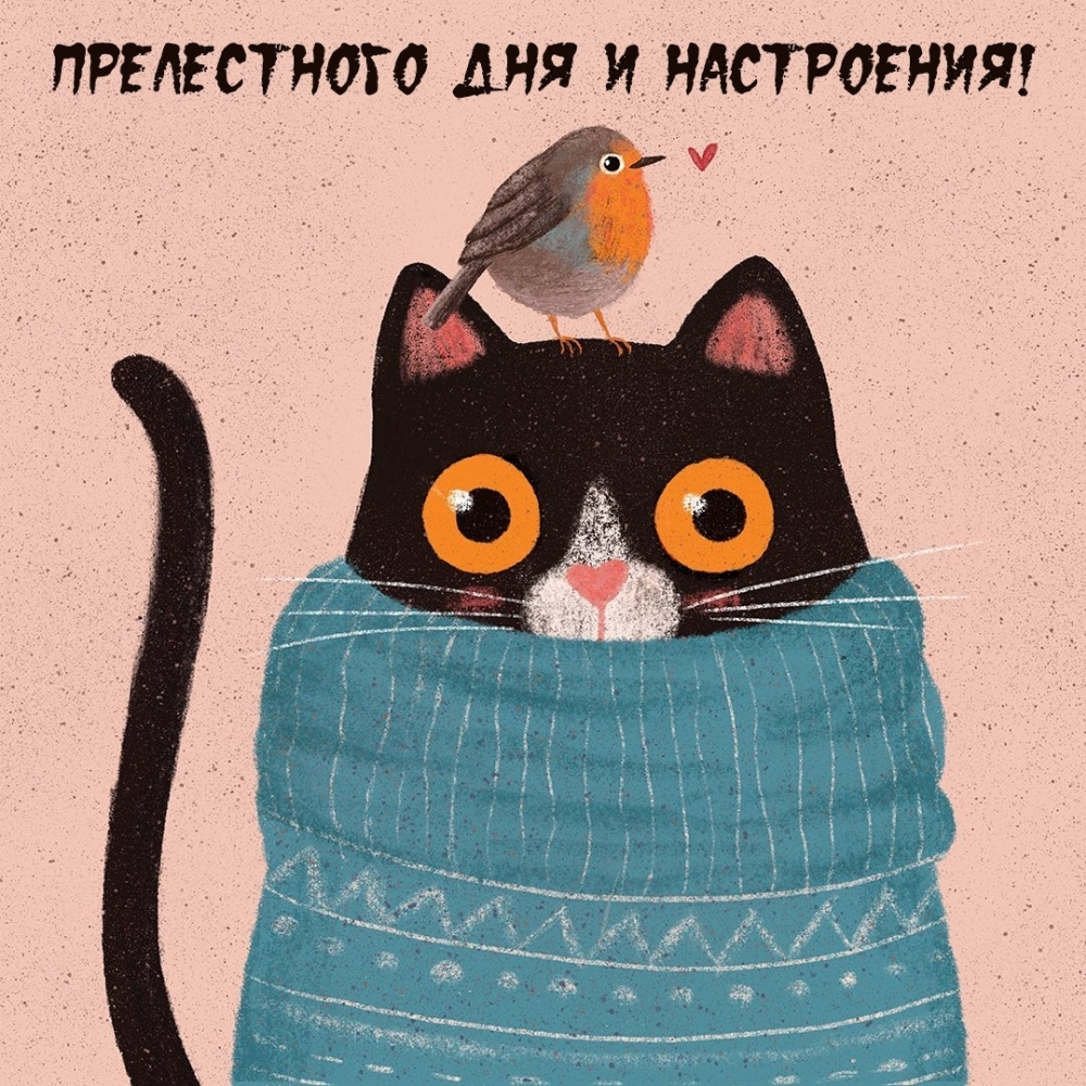 Прелестного дня и настроения!