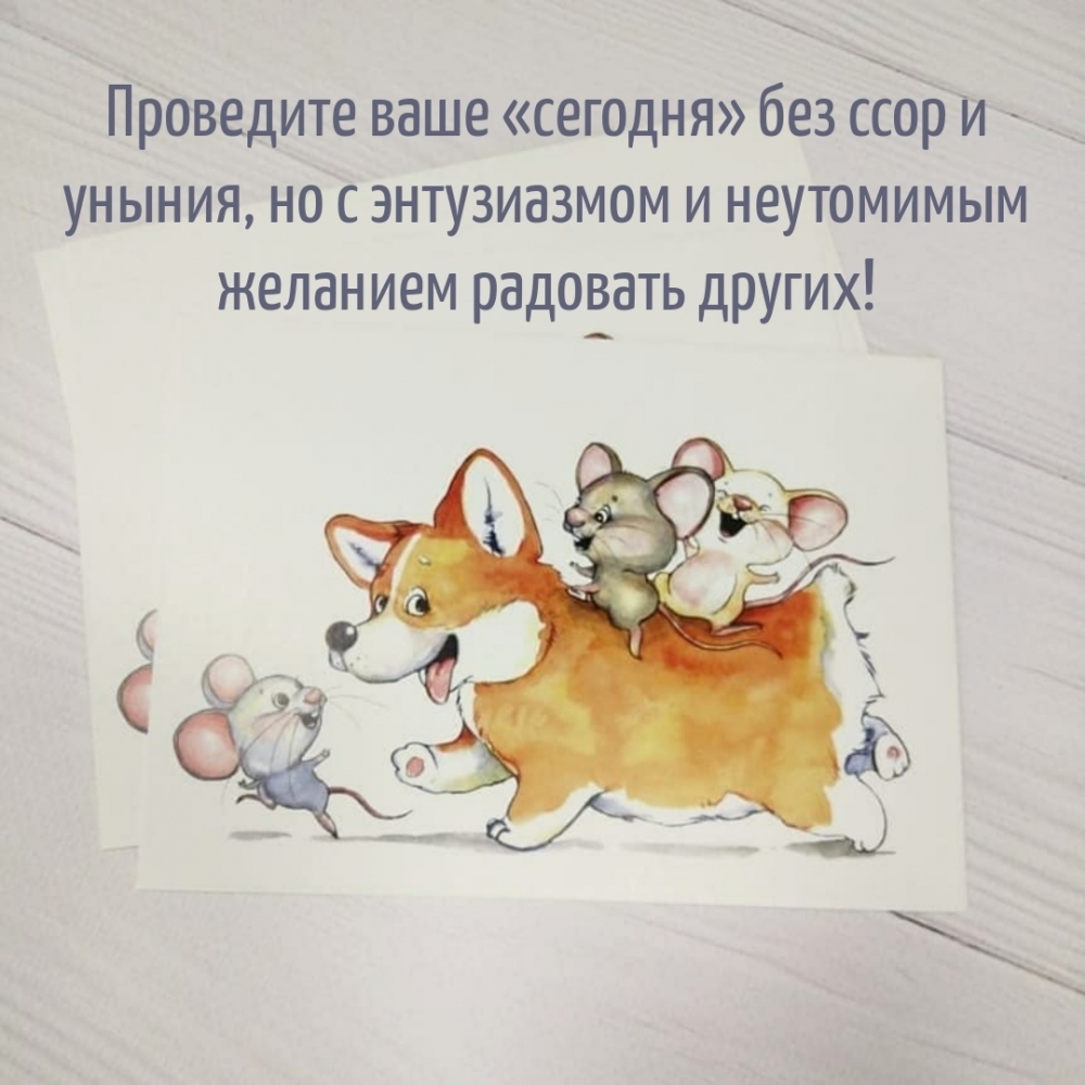 Проведите ваше «сегодня» без ссор и уныния