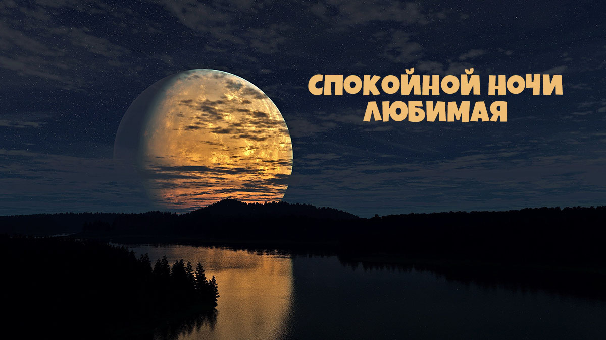 Спокойной ночи, любимая!