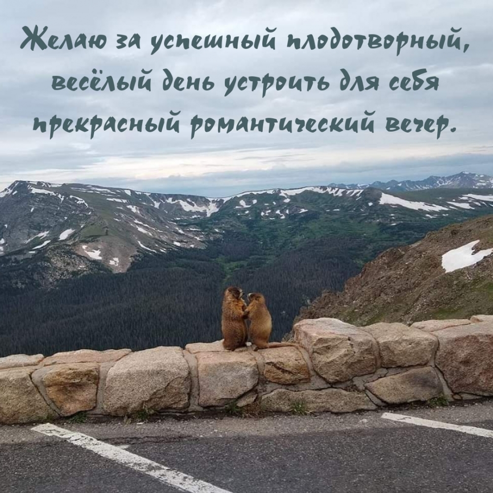 Желаю за успешный плодотворный, весёлый день….