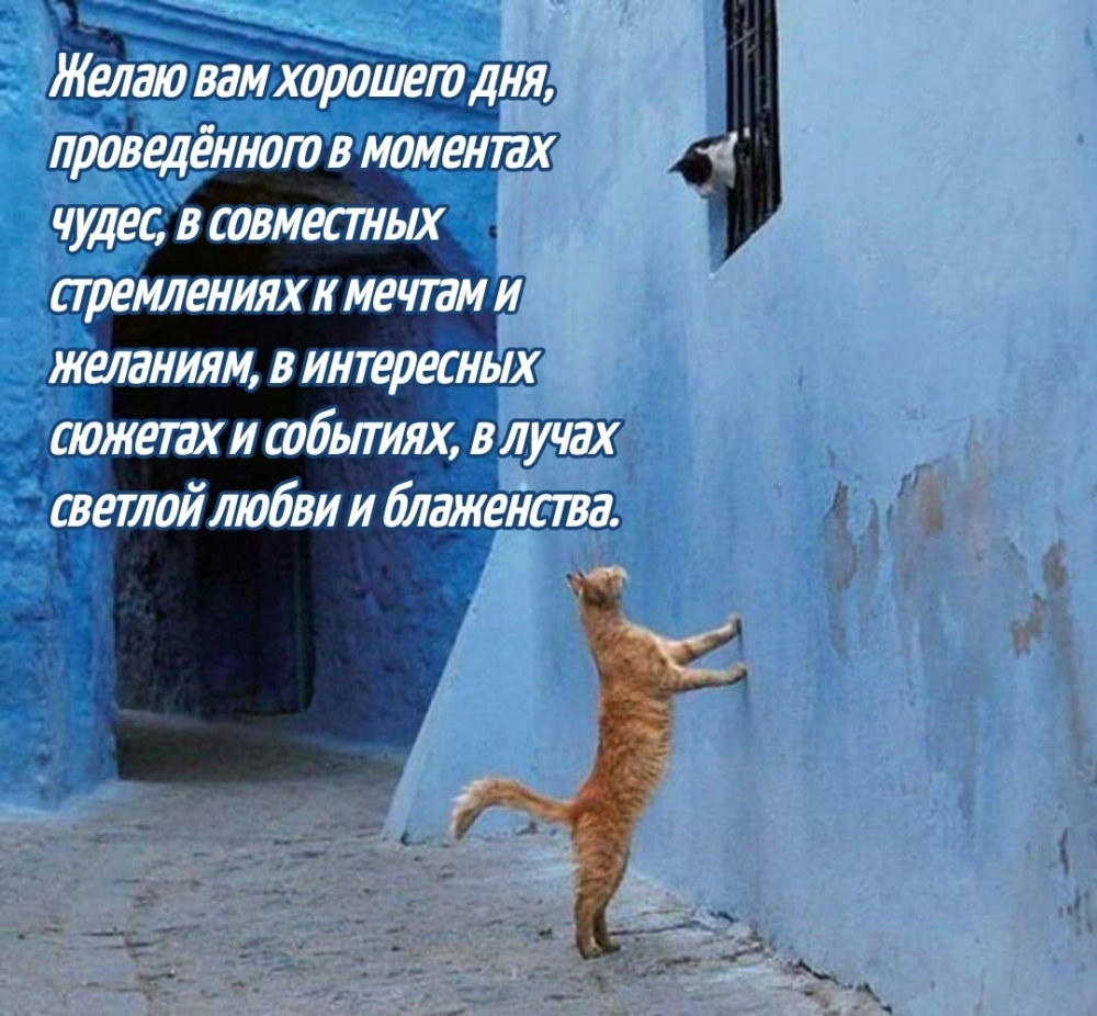 Желаю вам хорошего дня, проведённого в моментах чудес