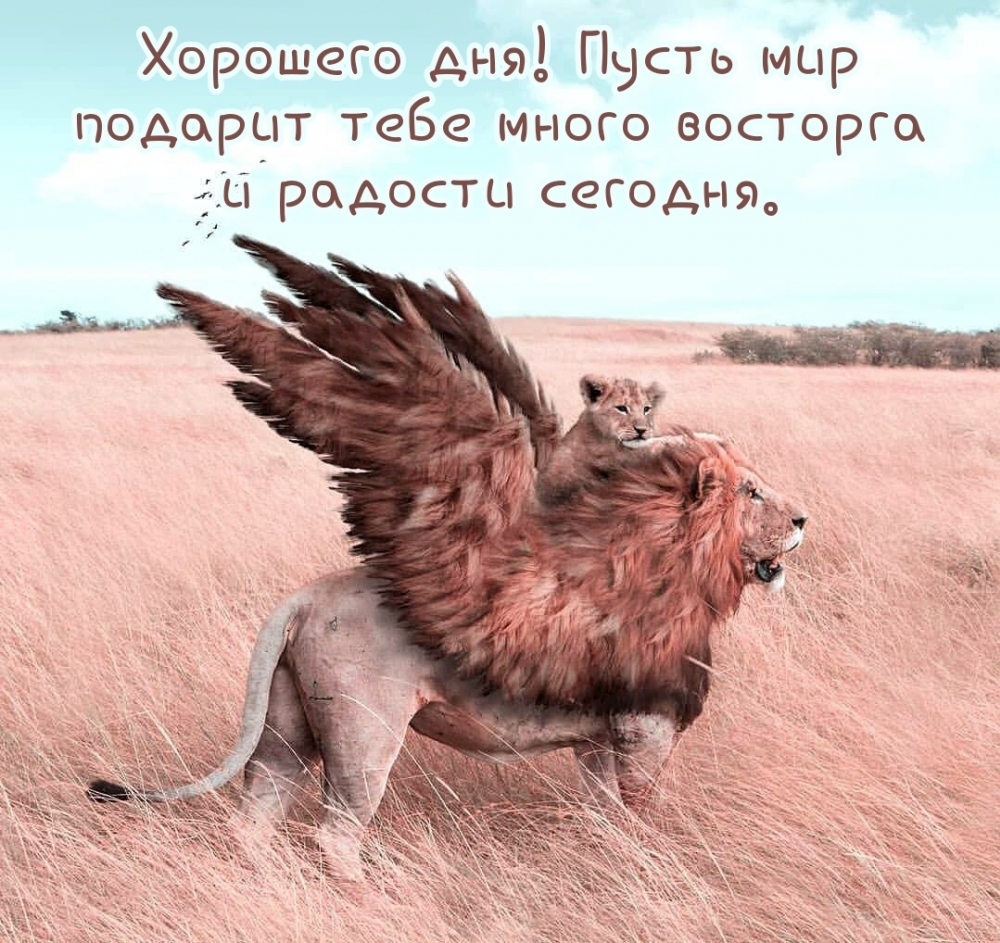 Хорошего дня! Пусть мир подарит тебе много восторга