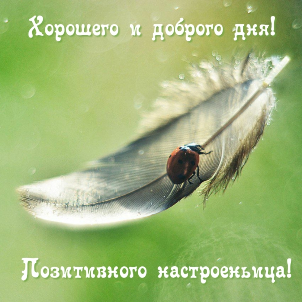 Хорошего и доброго дня! Позитивного настроеньица!