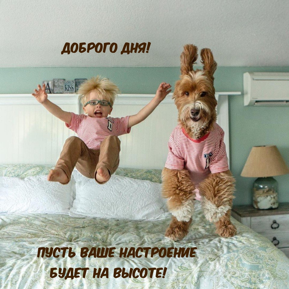 Доброго дня! Пусть ваше настроение будет на высоте!