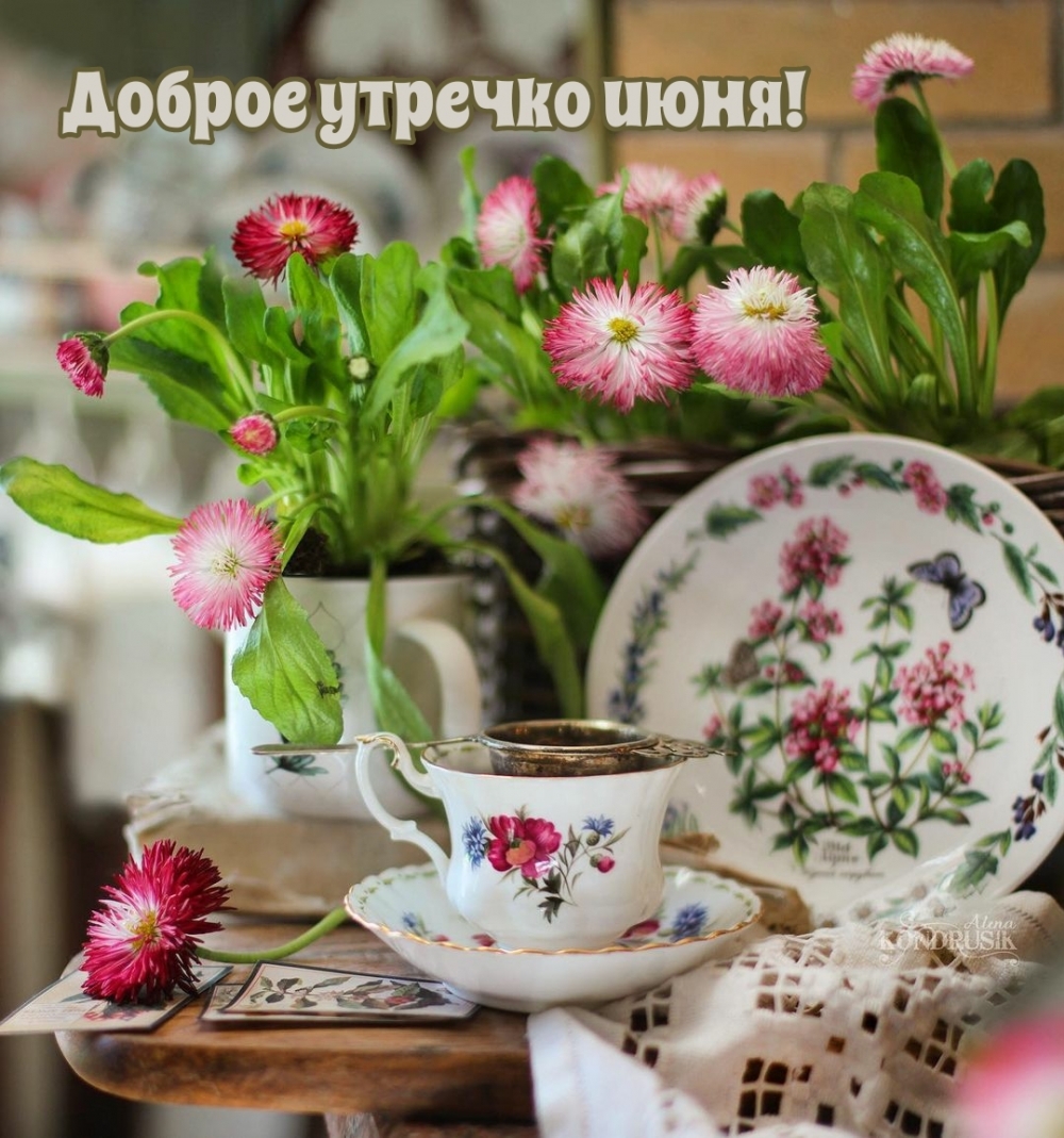 Доброе утречко июня!