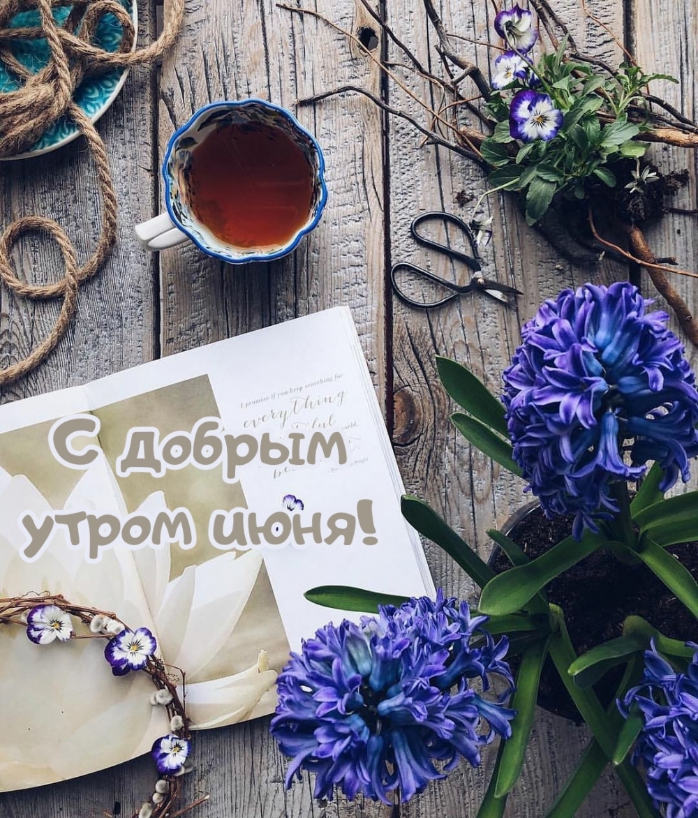С добрым утром июня!
