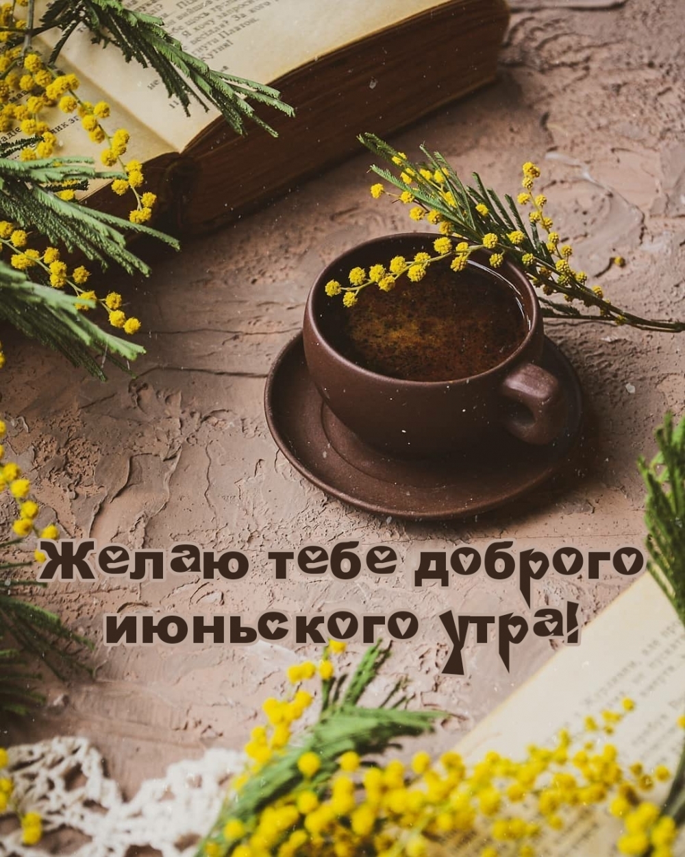 Желаю тебе доброго июньского утра!