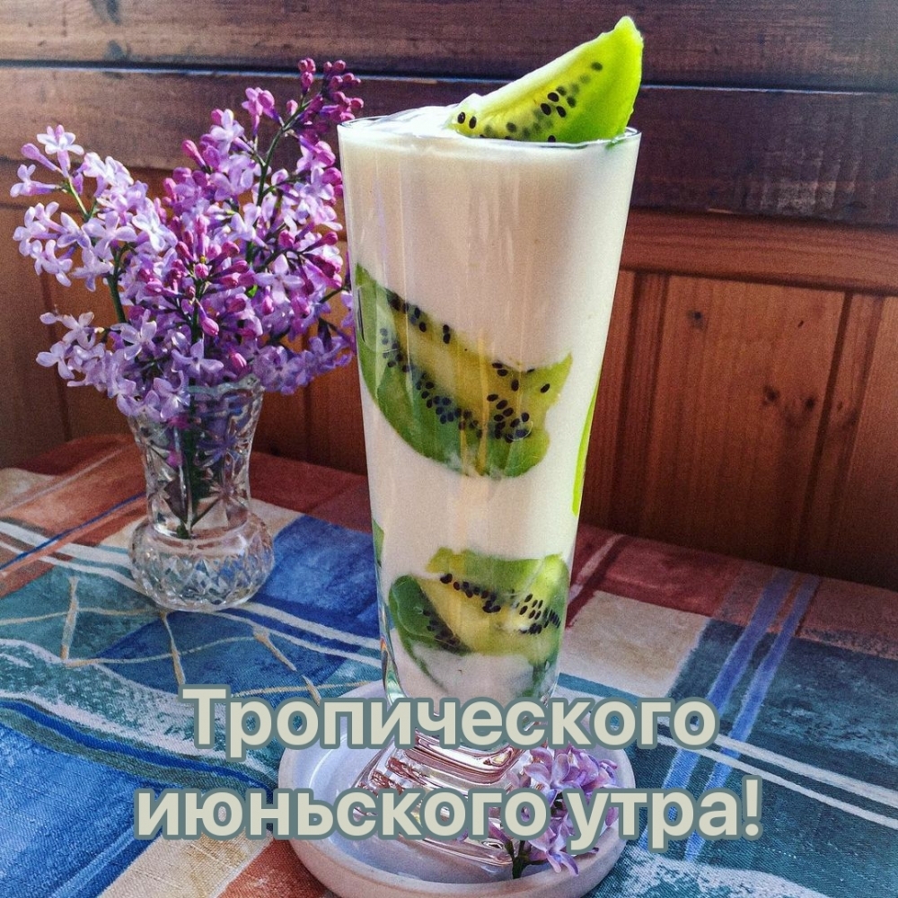 Тропического июньского утра!