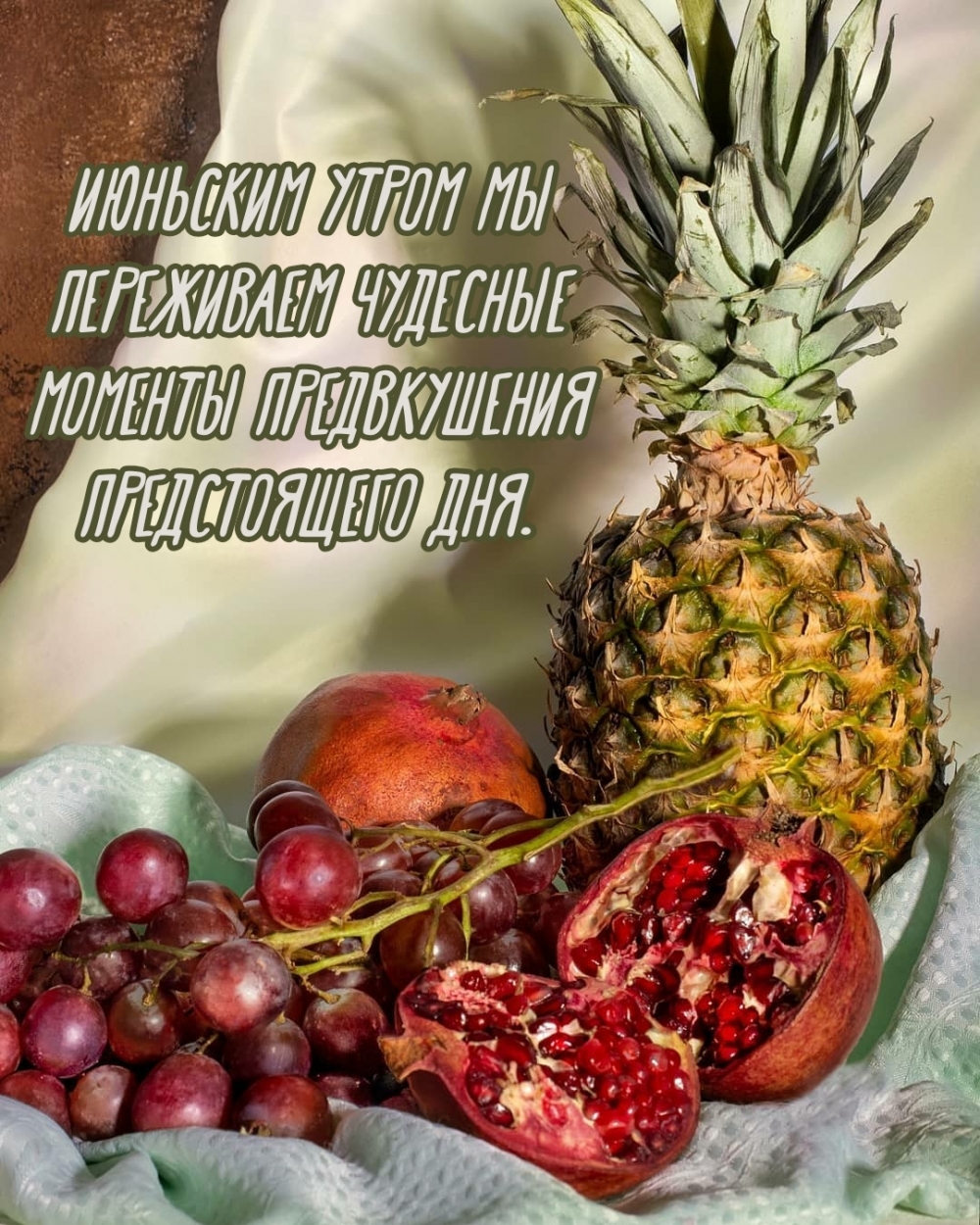 Июньским утром мы переживаем чудесные моменты