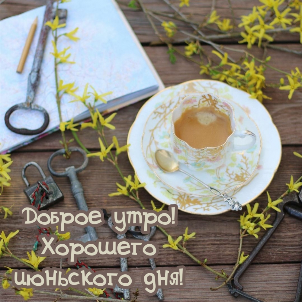 Доброе утро! Хорошего июньского дня!