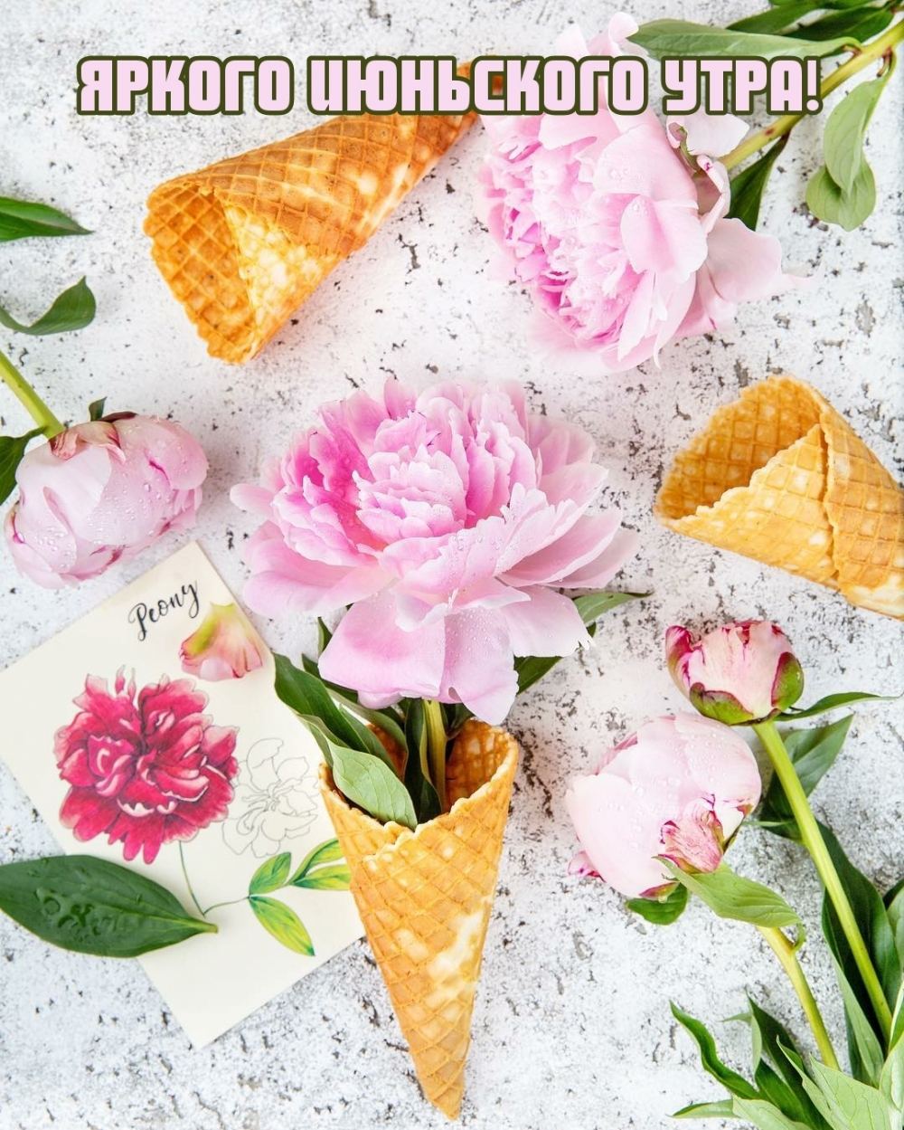 Яркого июньского утра!