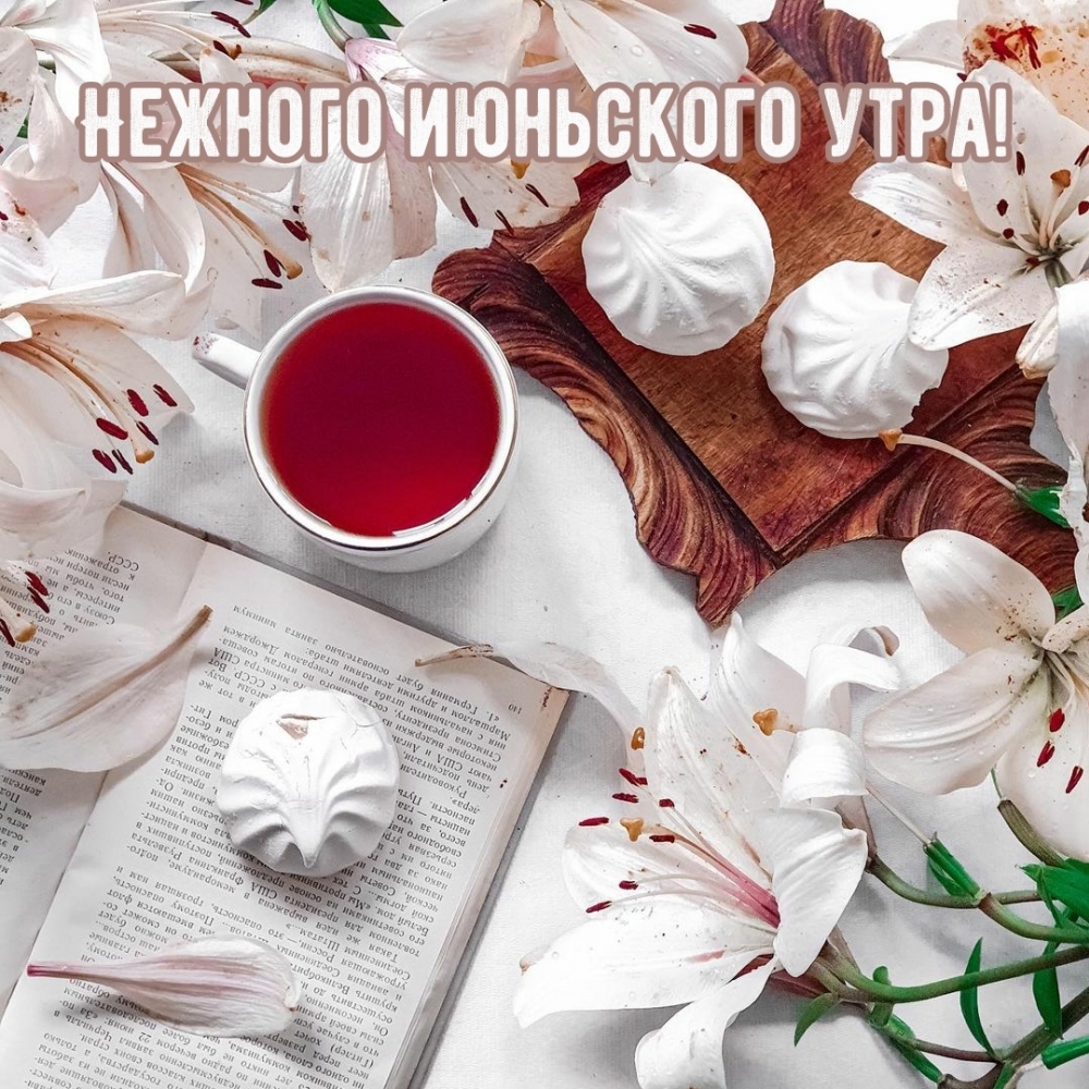 Нежного июньского утра!