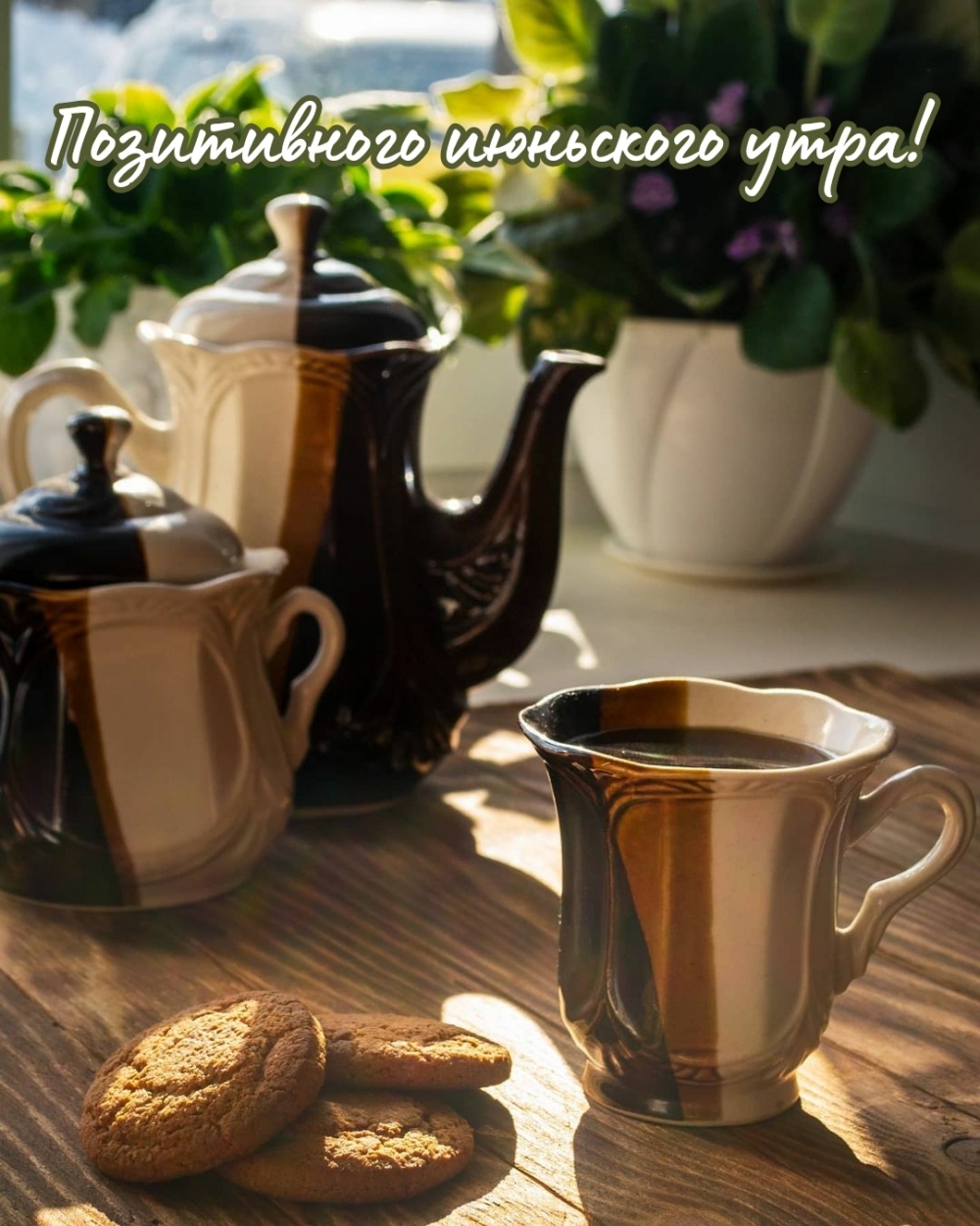 Позитивного июньского утра!