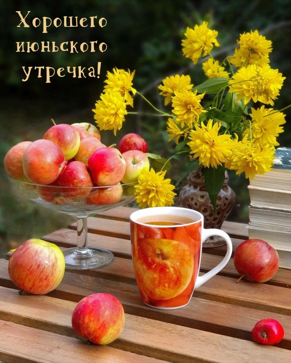 Хорошего июньского утречка!