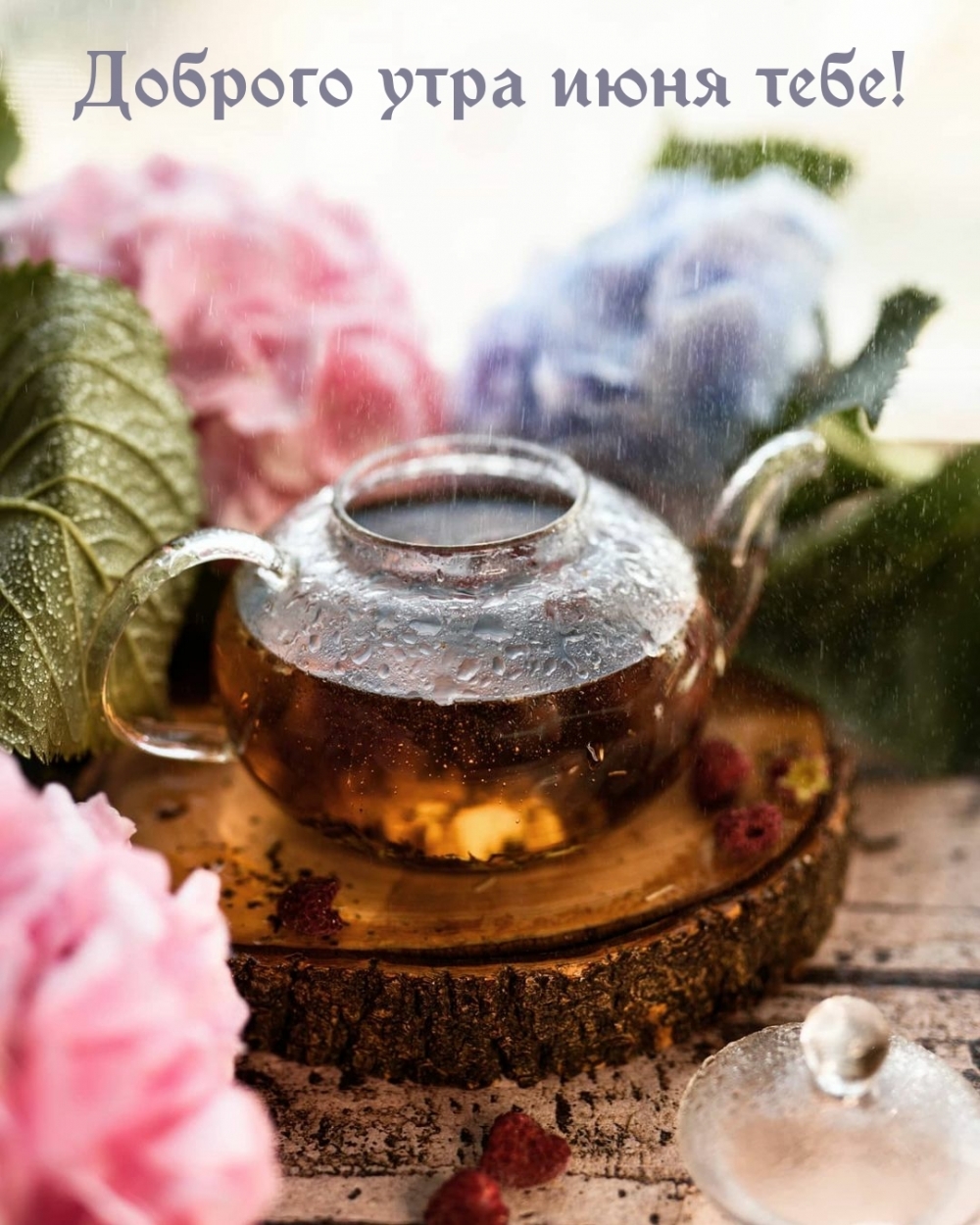 Доброго утра июня тебе!