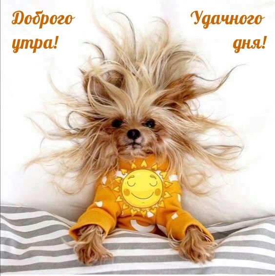 Доброго утра! Удачного дня!